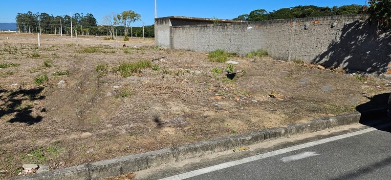 Terreno no bairro Bosque da Mata Tijucas SC rua Figo Tijucas - 