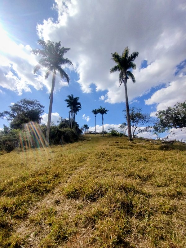 Terreno pé na água em Santa Isabel  Santa Isabel - 