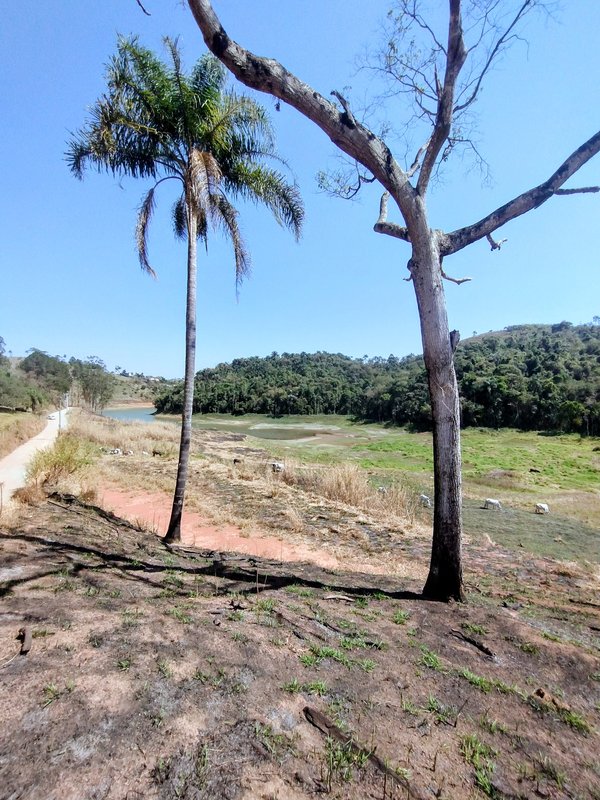 Terreno pé na água com ótima topografia à venda na Fazenda São Pedro  Igaratá - 