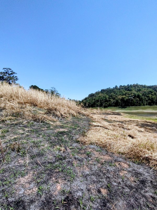 Terreno pé na água com ótima topografia à venda na Fazenda São Pedro  Igaratá - 