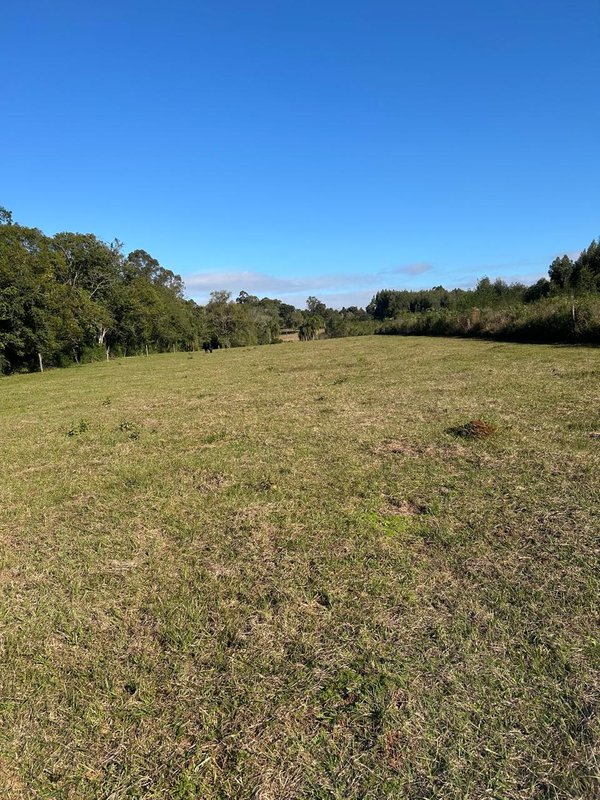 ✔️ Bel&iacute;ssima &aacute;rea de terras em Ivoti  Ivoti - 