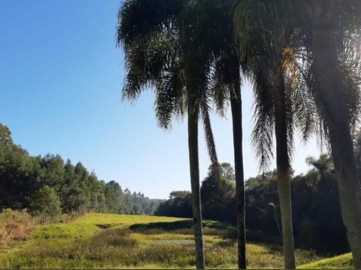 ✔️ Bel&iacute;ssima &aacute;rea de terras em Ivoti  Ivoti - 