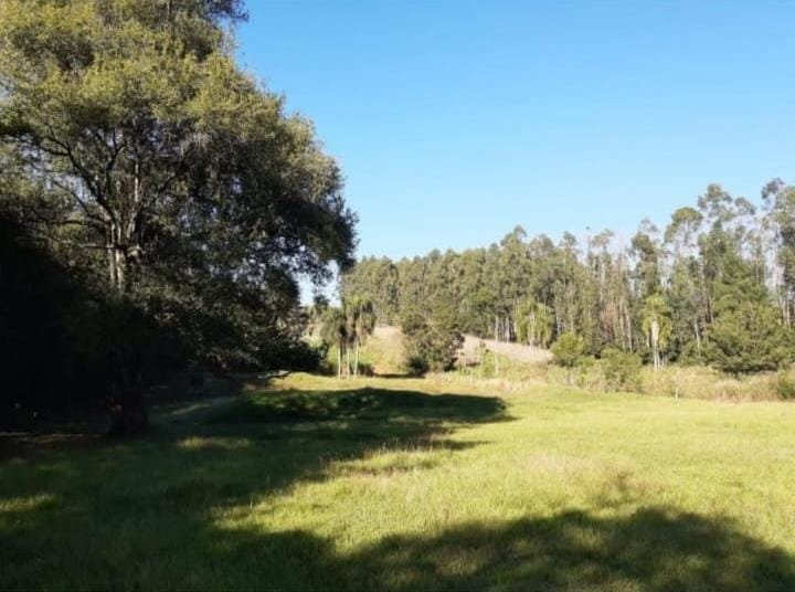 ✔️ Bel&iacute;ssima &aacute;rea de terras em Ivoti  Ivoti - 