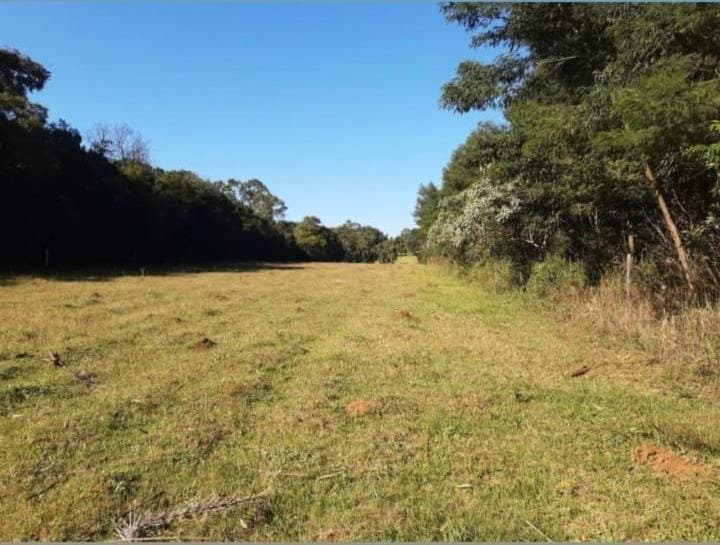 ✔️ Bel&iacute;ssima &aacute;rea de terras em Ivoti  Ivoti - 