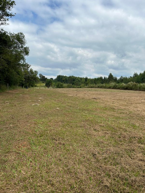 ✔️ Bel&iacute;ssima &aacute;rea de terras em Ivoti  Ivoti - 