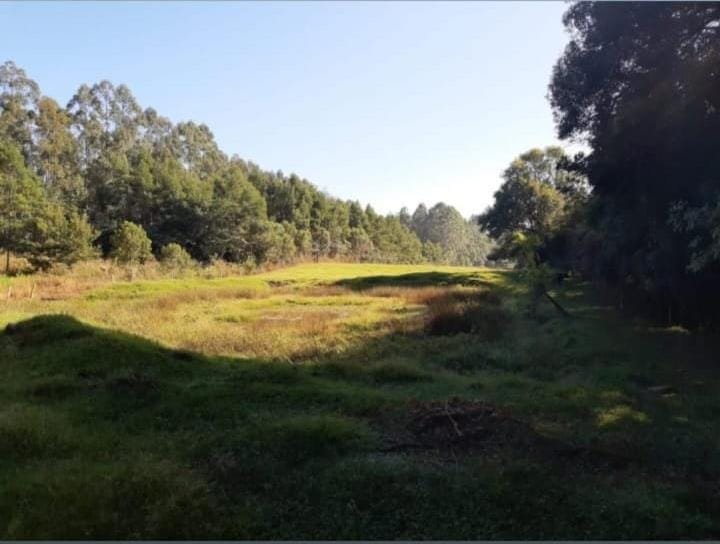 ✔️ Bel&iacute;ssima &aacute;rea de terras em Ivoti  Ivoti - 