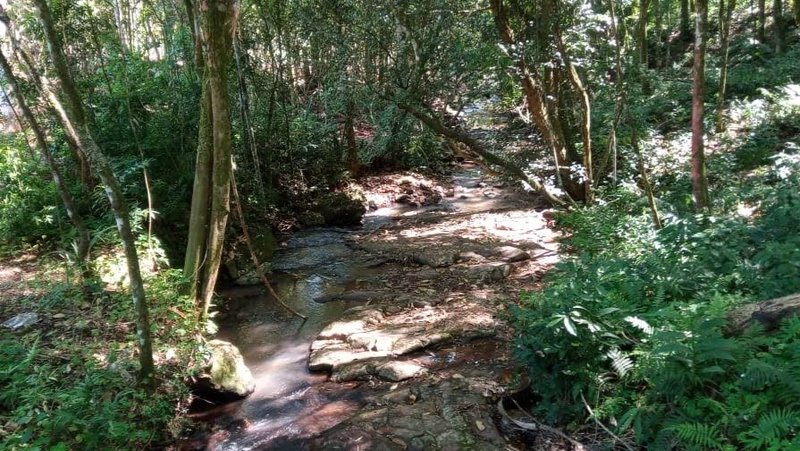 ✔️ Bel&iacute;ssimo S&iacute;tio em Presidente Lucena  Presidente Lucena - 