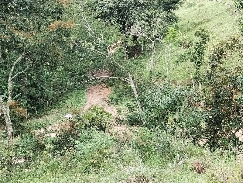 Terreno de 17 alqueires à venda no Morro Azul  Igaratá - 