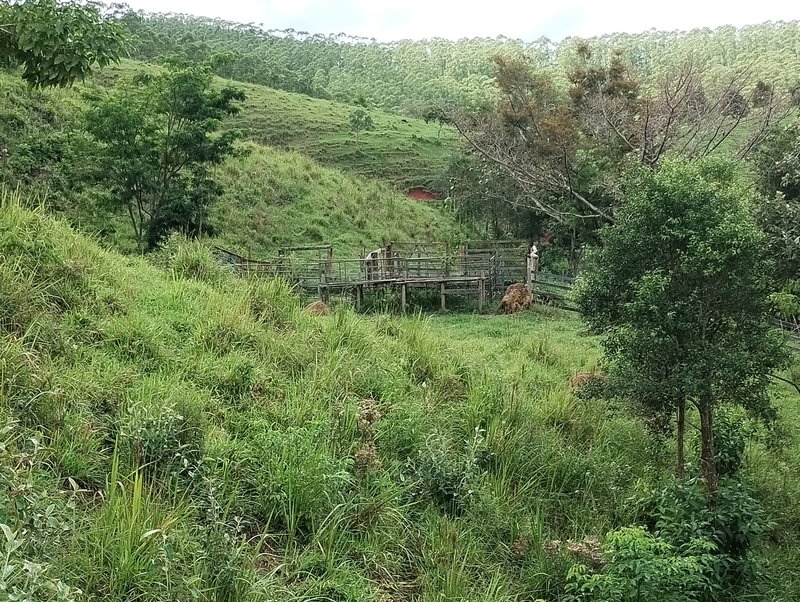 Terreno de 17 alqueires à venda no Morro Azul  Igaratá - 