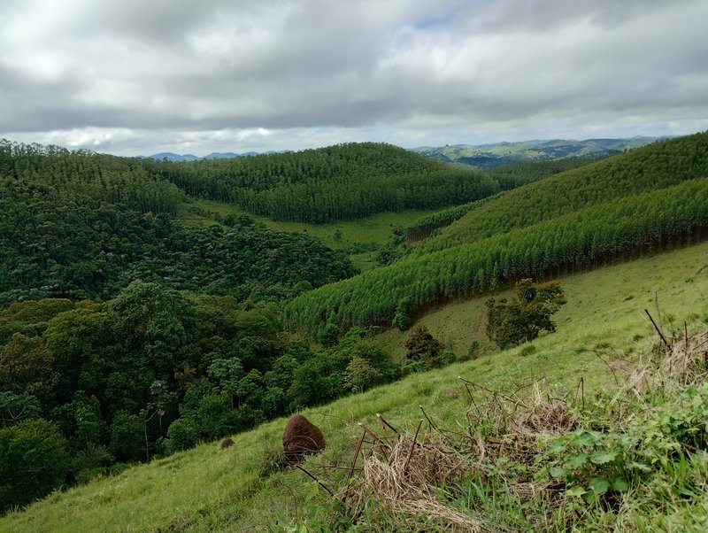 Terreno de 17 alqueires à venda no Morro Azul  Igaratá - 