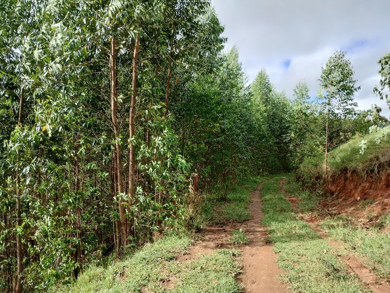 Terreno de 17 alqueires à venda no Morro Azul  Igaratá - 