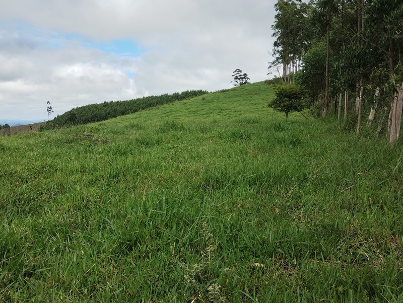 Terreno com excelente topografia com vista para represa à venda no Morro Azul  Igaratá - 