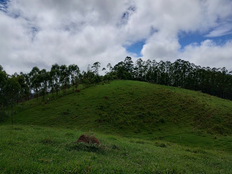 Terreno com excelente topografia com vista para represa à venda no Morro Azul  Igaratá - 