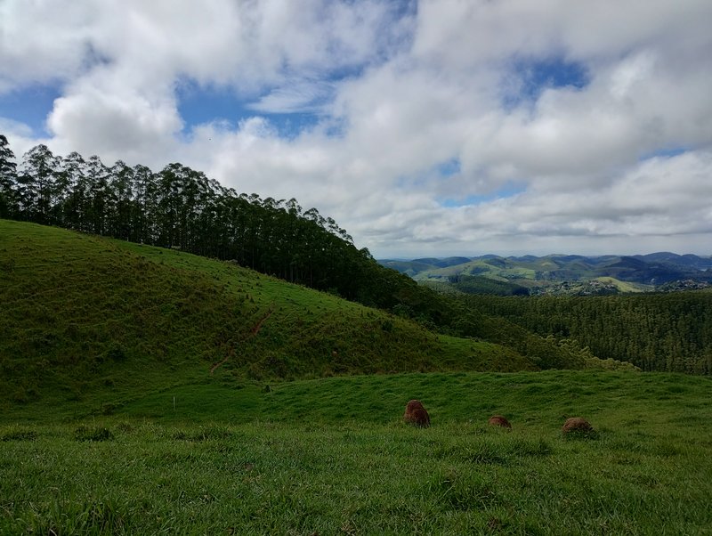 Terreno com excelente topografia com vista para represa à venda no Morro Azul  Igaratá - 