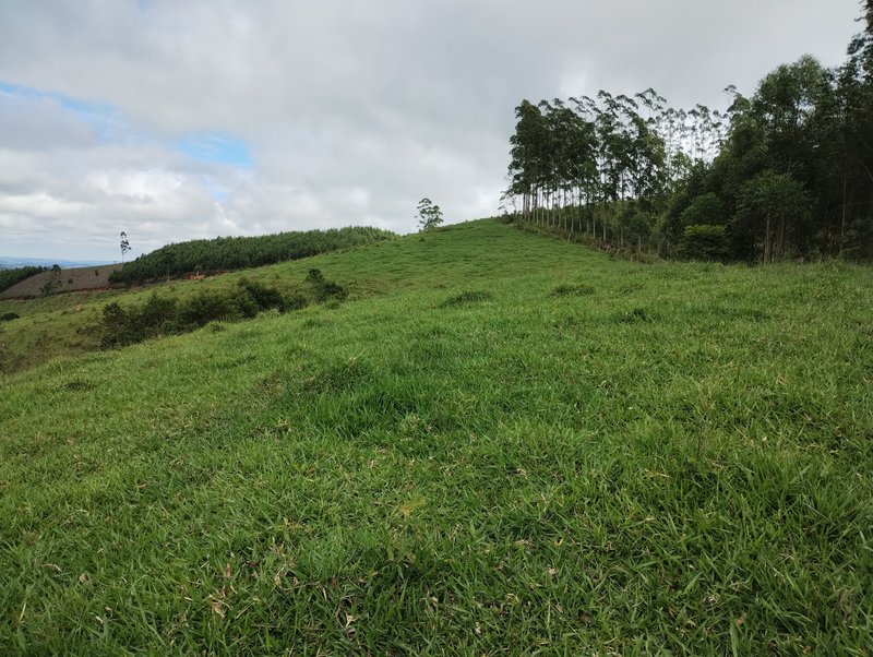 Terreno com vista para represa à venda no Morro Azul  Igaratá - 
