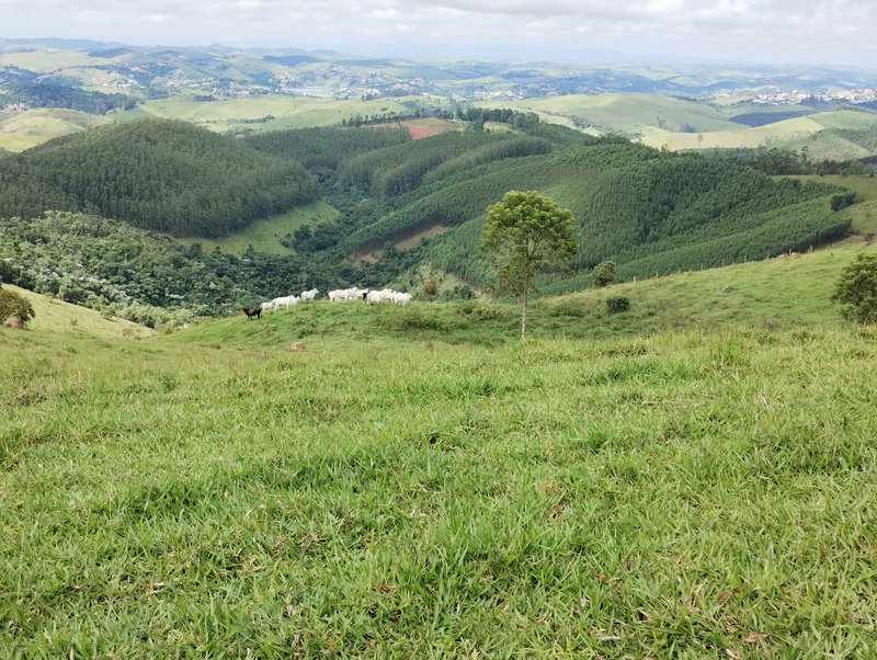 Terreno com vista para represa à venda no Morro Azul  Igaratá - 