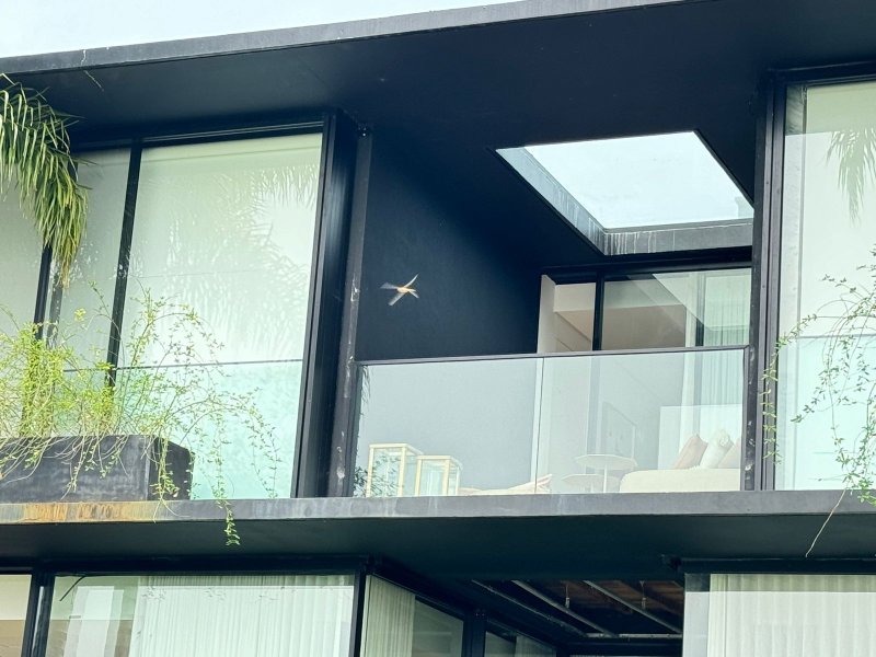 🏡 Sport House para Locação – Fazenda Boa Vista Alameda dos Pínus PORTO FELIZ - 