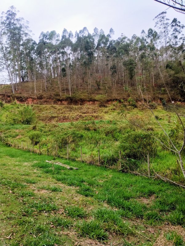 Terreno à venda no Bairro Alto  Igaratá - 