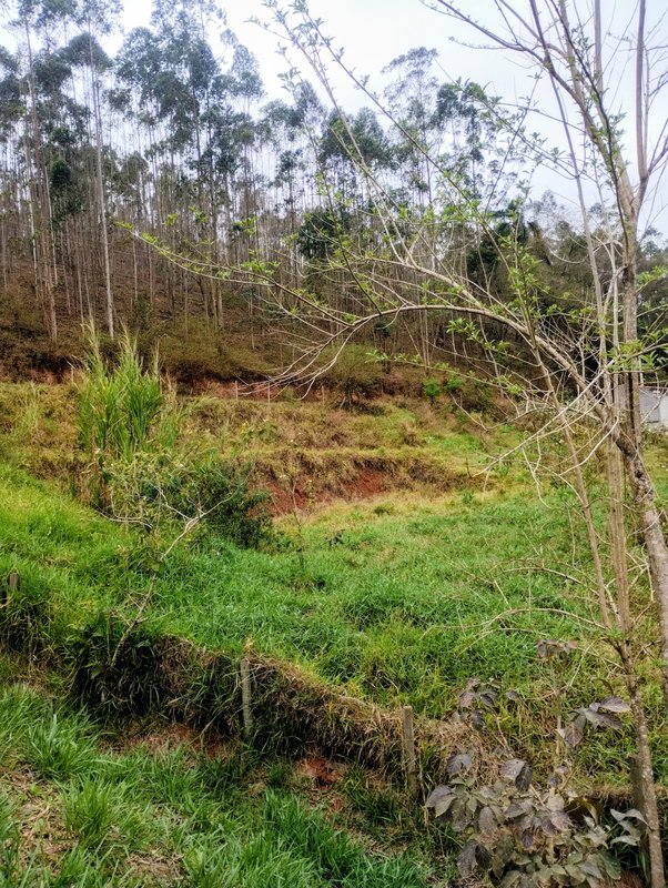 Terreno à venda no Bairro Alto  Igaratá - 