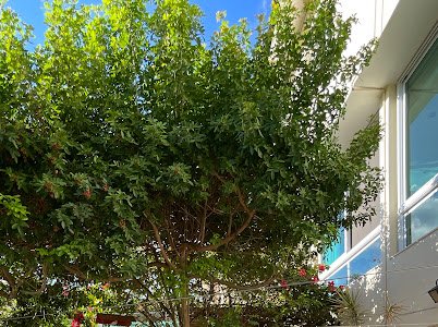🏡 Casa de Alto Padrão à Venda – Alphaville Residencial 10 Alameda Apetubas Santana de Parnaíba - 