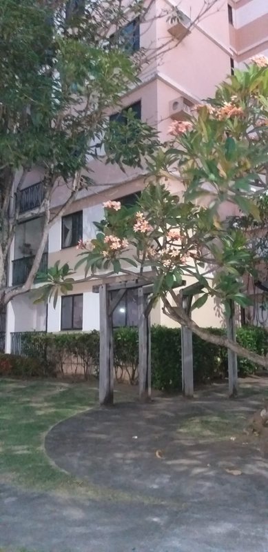 Alugo apartamento, 2/4 (1 Suíte) próximo ao Salvador Norte Shopping Rodovia BA-526 Salvador - 