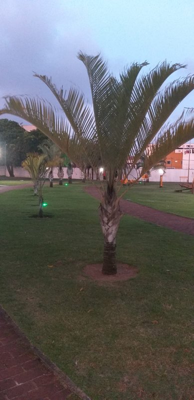 Alugo apartamento, 2/4 (1 Suíte) próximo ao Salvador Norte Shopping Rodovia BA-526 Salvador - 