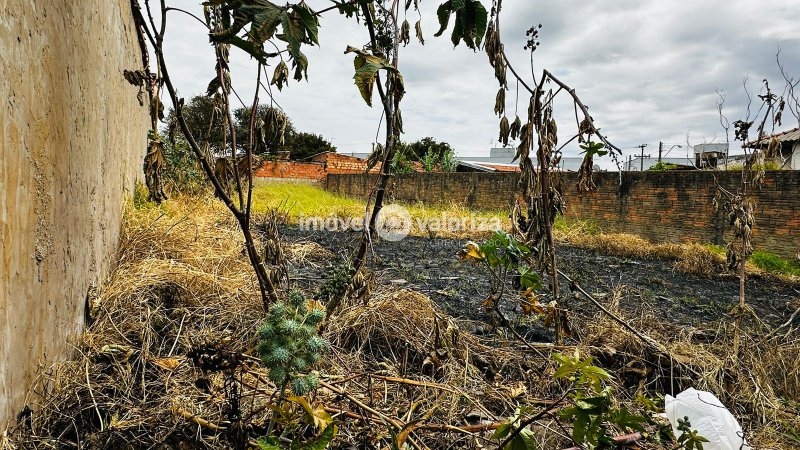 Terreno Murado na Vila Cidade Jardim | Avaré  Avaré - 