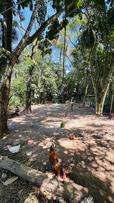Terreno à Venda em Boiçucanga – Oportunidade Única! Rua Catarina Vicente São Sebastião - 