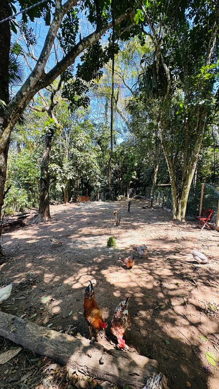 Terreno à Venda em Boiçucanga – Oportunidade Única! Rua Catarina Vicente São Sebastião - 