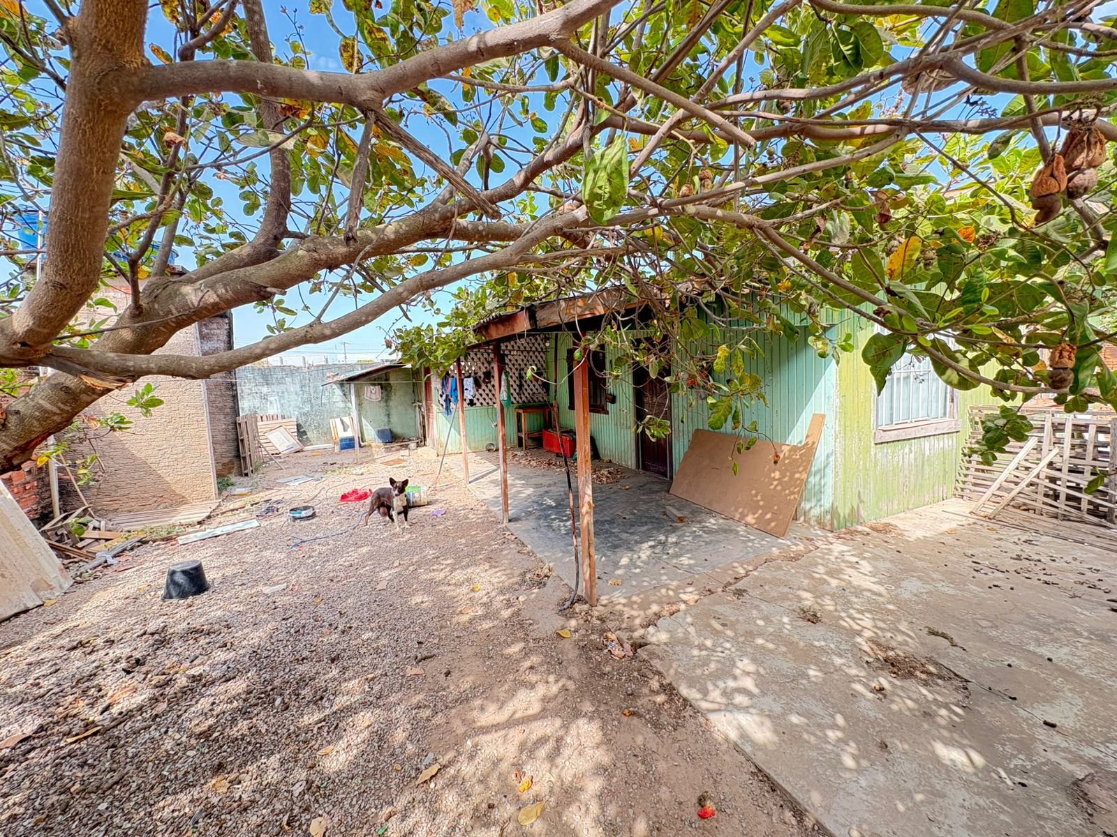 Kitnet e Studio à venda com 1 quarto, 480m² - Foto 5