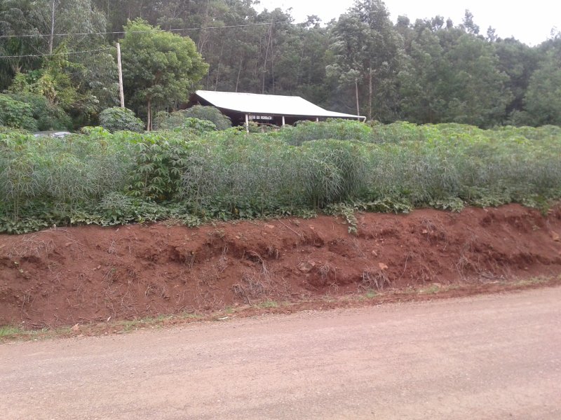 ✔️ Bel&iacute;ssimo S&iacute;tio em Presidente Lucena  Presidente Lucena - 