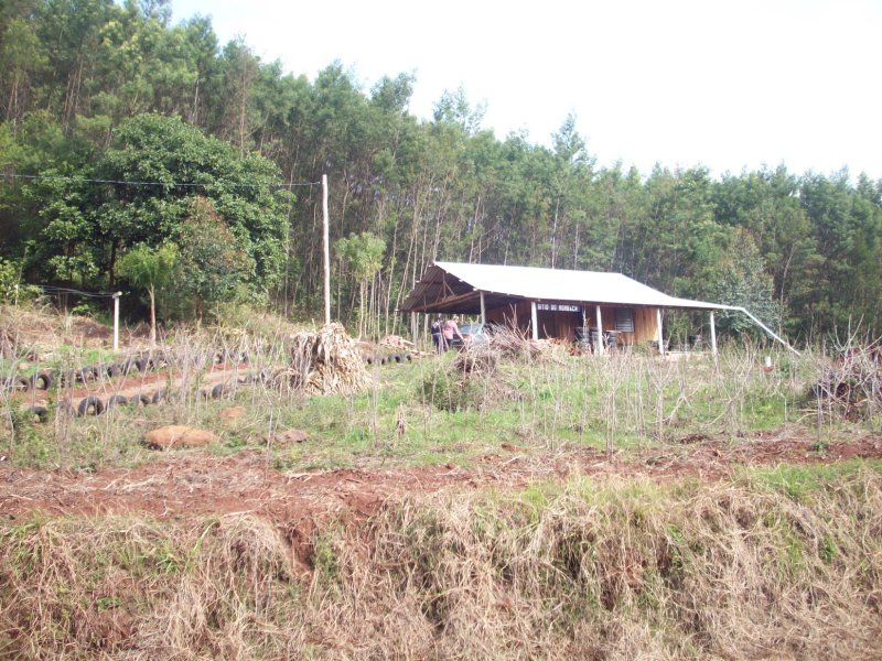 ✔️ Bel&iacute;ssimo S&iacute;tio em Presidente Lucena  Presidente Lucena - 