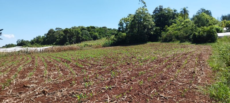 ✔️ Bel&iacute;ssimo S&iacute;tio em Linha Nova  LINHA NOVA - 