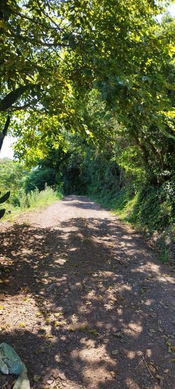 ✔️ Bel&iacute;ssimo S&iacute;tio em Linha Nova  LINHA NOVA - 