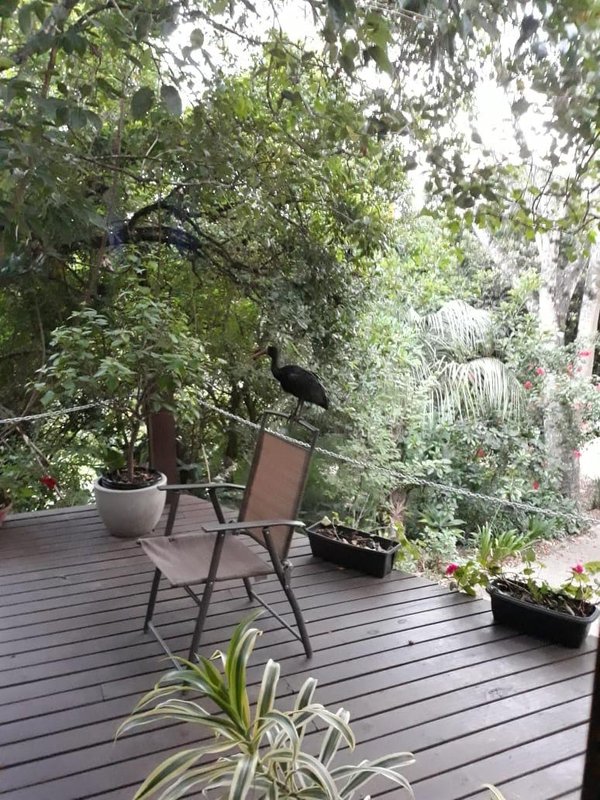 ✔️ Bel&iacute;ssimo S&iacute;tio em Lindolfo Collor  LINDOLFO COLLOR - 