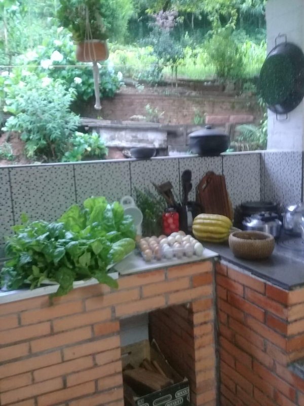 ✔️ Bel&iacute;ssimo S&iacute;tio em Lindolfo Collor  LINDOLFO COLLOR - 