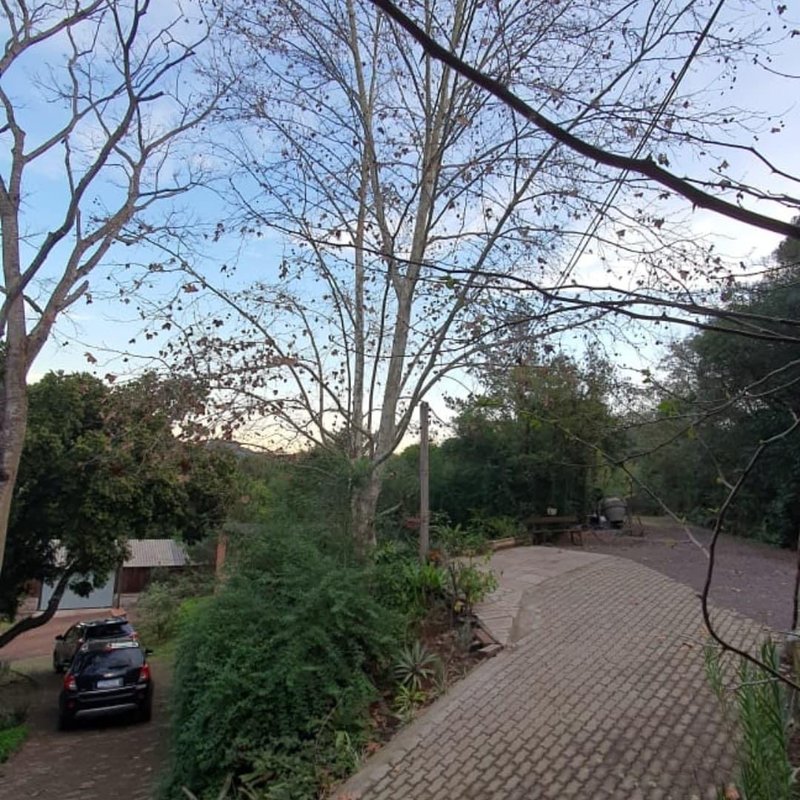 ✔️ Bel&iacute;ssimo S&iacute;tio em Lindolfo Collor  LINDOLFO COLLOR - 