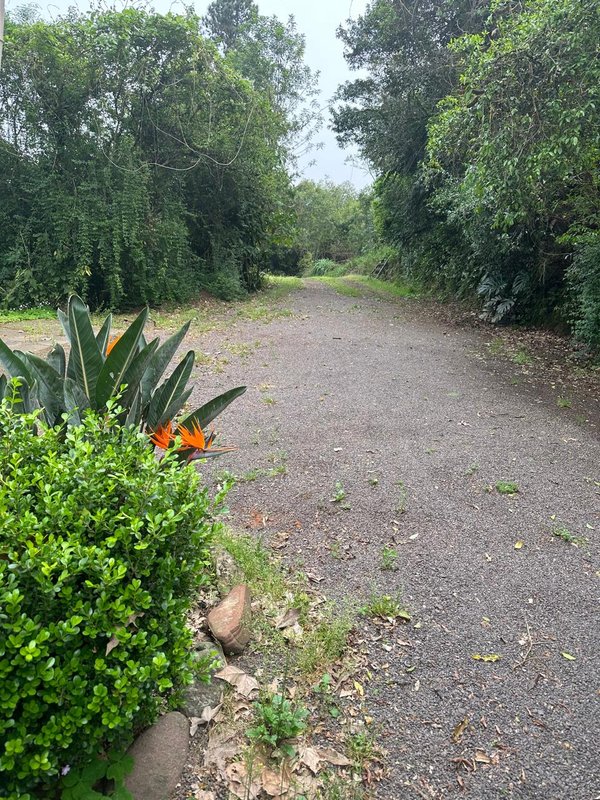 ✔️ Bel&iacute;ssimo S&iacute;tio em Lindolfo Collor  LINDOLFO COLLOR - 