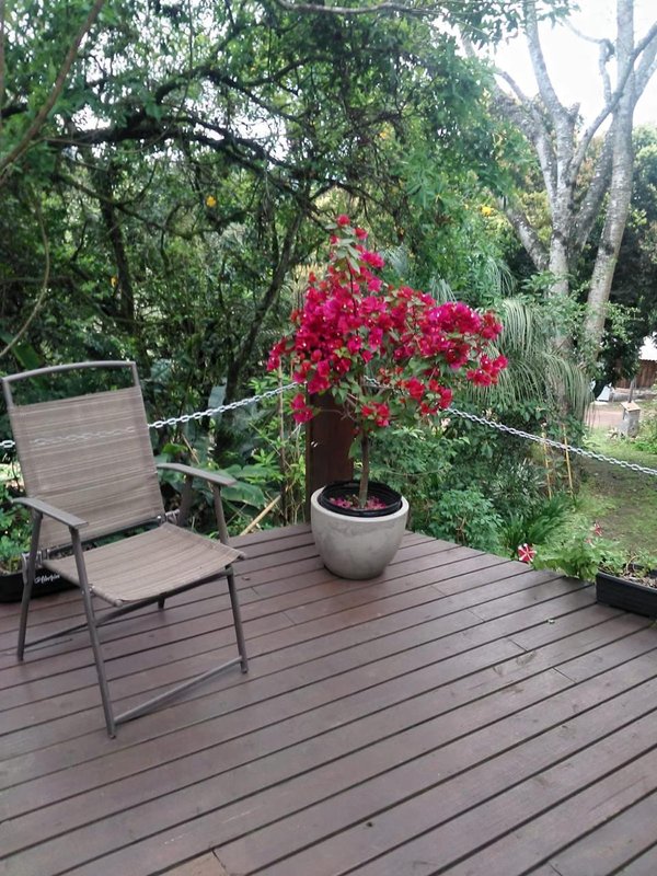 ✔️ Bel&iacute;ssimo S&iacute;tio em Lindolfo Collor  LINDOLFO COLLOR - 