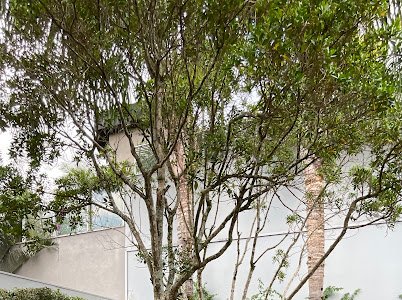 ✨ Casa de Alto Padrão – Tamboré Residencial 10 | Alphaville/SP ✨ Alameda Julieta Santana de Parnaíba - 