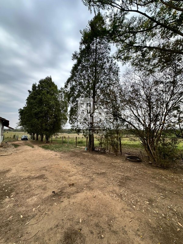 🌿 Sítio de 1,38 alqueires à Venda – Bairro Guarapó - fundo para o rio guarapó - doc ok  Tatuí - 