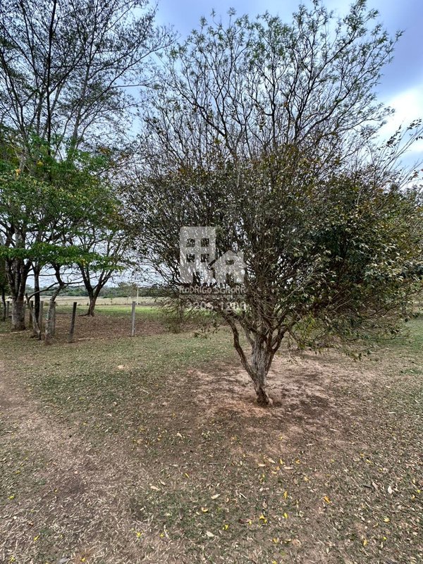 🌿 Sítio de 1,38 alqueires à Venda – Bairro Guarapó - fundo para o rio guarapó - doc ok  Tatuí - 