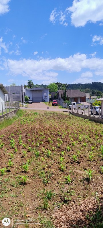 ✔️ Excelente terreno em Presidente Lucena  Presidente Lucena - 