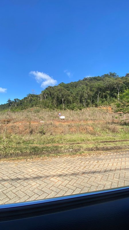 TERRENO NO BAIRRO CEDRO ALTO  Brusque - 