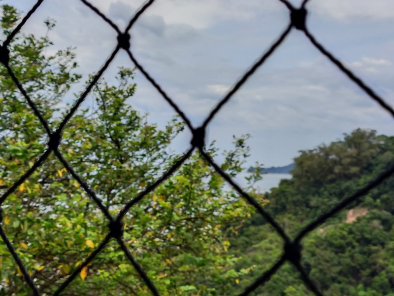 Casa à Venda – Morro do José Menino, Santos/SP Rua Doutor Carlos Alberto Curado Santos - 