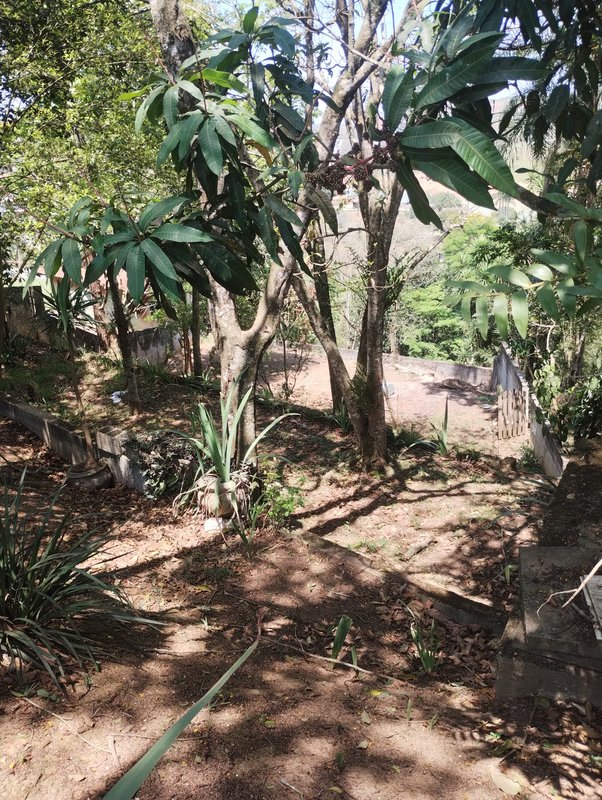 Terreno pé na água à venda no Portal de Igaratá  Igaratá - 