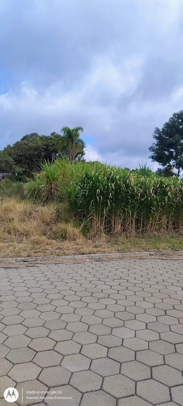 ✔️ Lindo terreno em Presidente Lucena  Presidente Lucena - 