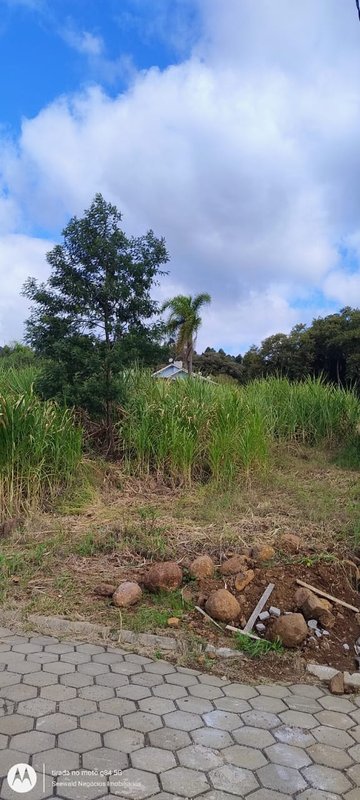 ✔️ Lindo terreno em Presidente Lucena  Presidente Lucena - 