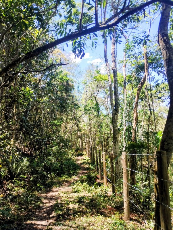 Ótimo terreno à venda no bairro do Pinhal  Santa Isabel - 