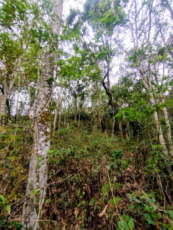 Ótimo terreno à venda no bairro do Pinhal  Santa Isabel - 